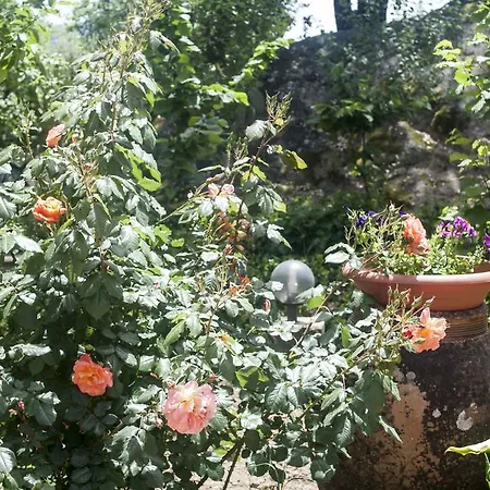 Agriturismo Fattoria Di Grenne *