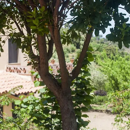Agriturismo Fattoria Di Grenne Farm stay *