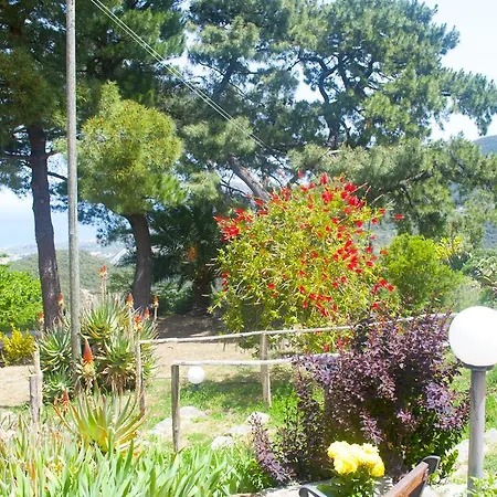 Agriturismo Fattoria Di Grenne