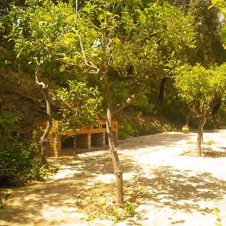 Agriturismo Fattoria Di Grenne Farm stay