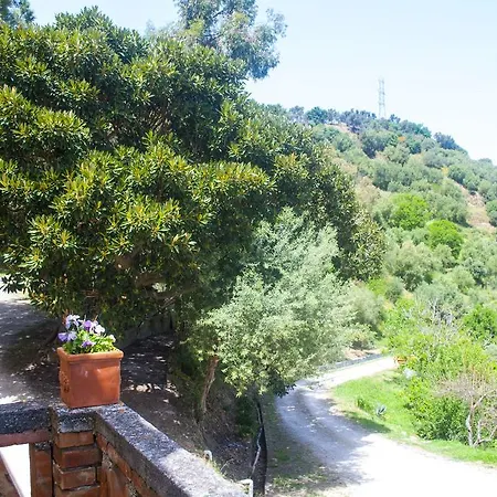 Farm stay Agriturismo Fattoria Di Grenne